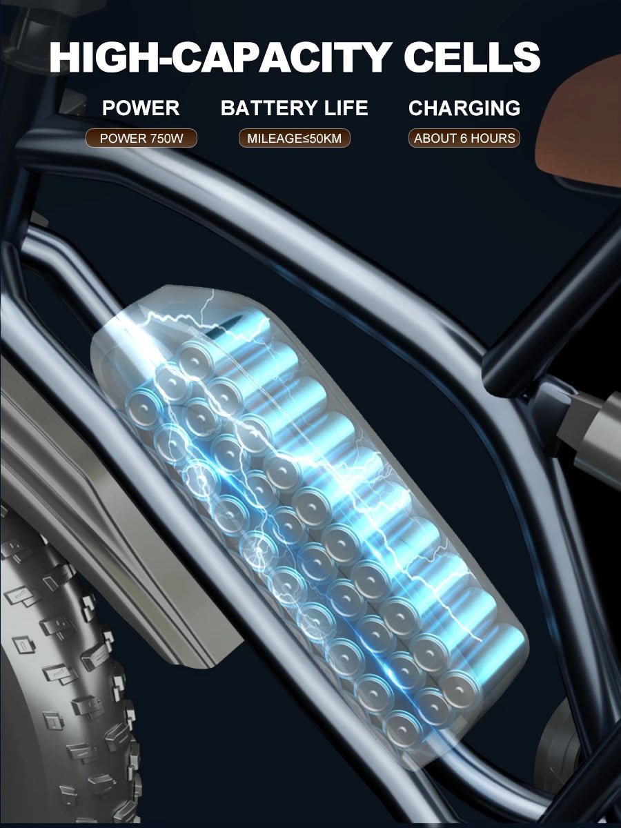 2024 New Arrival X50 Off - road Electric Dirt Bikes 14Ah 25KM/H 20MPH Fat Biked Electric Ebike Fat 20*4 Inch 750w Electric Bike - Prime Devine Supply14:10BlackBlack