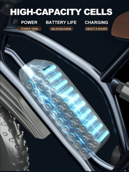 2024 New Arrival X50 Off - road Electric Dirt Bikes 14Ah 25KM/H 20MPH Fat Biked Electric Ebike Fat 20*4 Inch 750w Electric Bike - Prime Devine Supply14:10BlackBlack