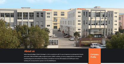 48v Emtb Retro Electric Bicycle Hybrid Bike E - Bike Road Dirt E Bike Ebike Mountain Fat Tire Electric Bike - Prime Devine Supply14:366K7-2 (Front Basket);200007763:201336100K7 - 2 (Front Basket)