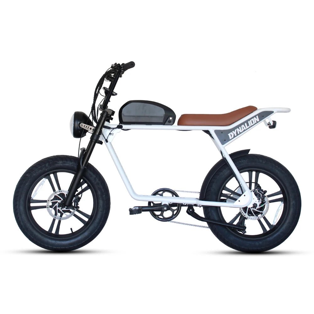 48v Emtb Retro Electric Bicycle Hybrid Bike E - Bike Road Dirt E Bike Ebike Mountain Fat Tire Electric Bike - Prime Devine Supply14:366K7-2 (Front Basket);200007763:201336100K7 - 2 (Front Basket)