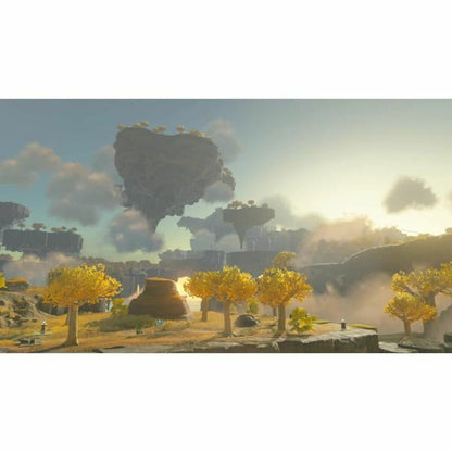 Video game for Switch Nintendo the legend of zelda tears of the kingdom - Prime Devine SupplyS7189177Computers | Electronics > Electronics | Gaming > Video Games